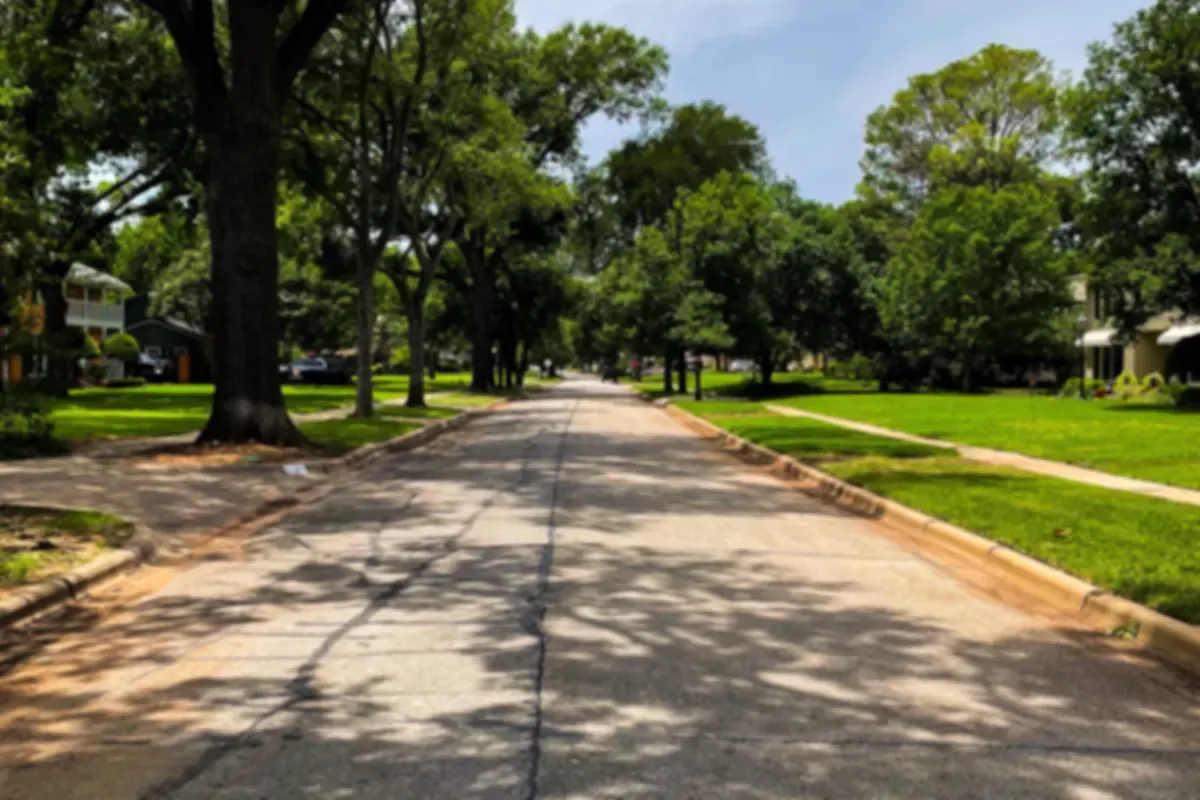 Quiet residential street shaded by mature oak trees on a sunny day