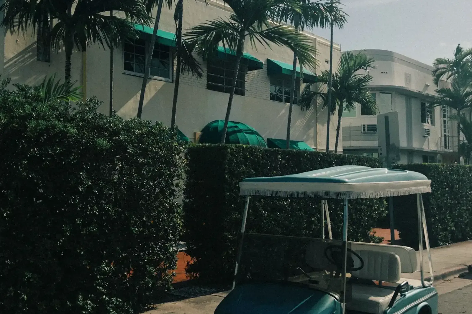 Golf cart parked on a palm-lined street in a Florida community
