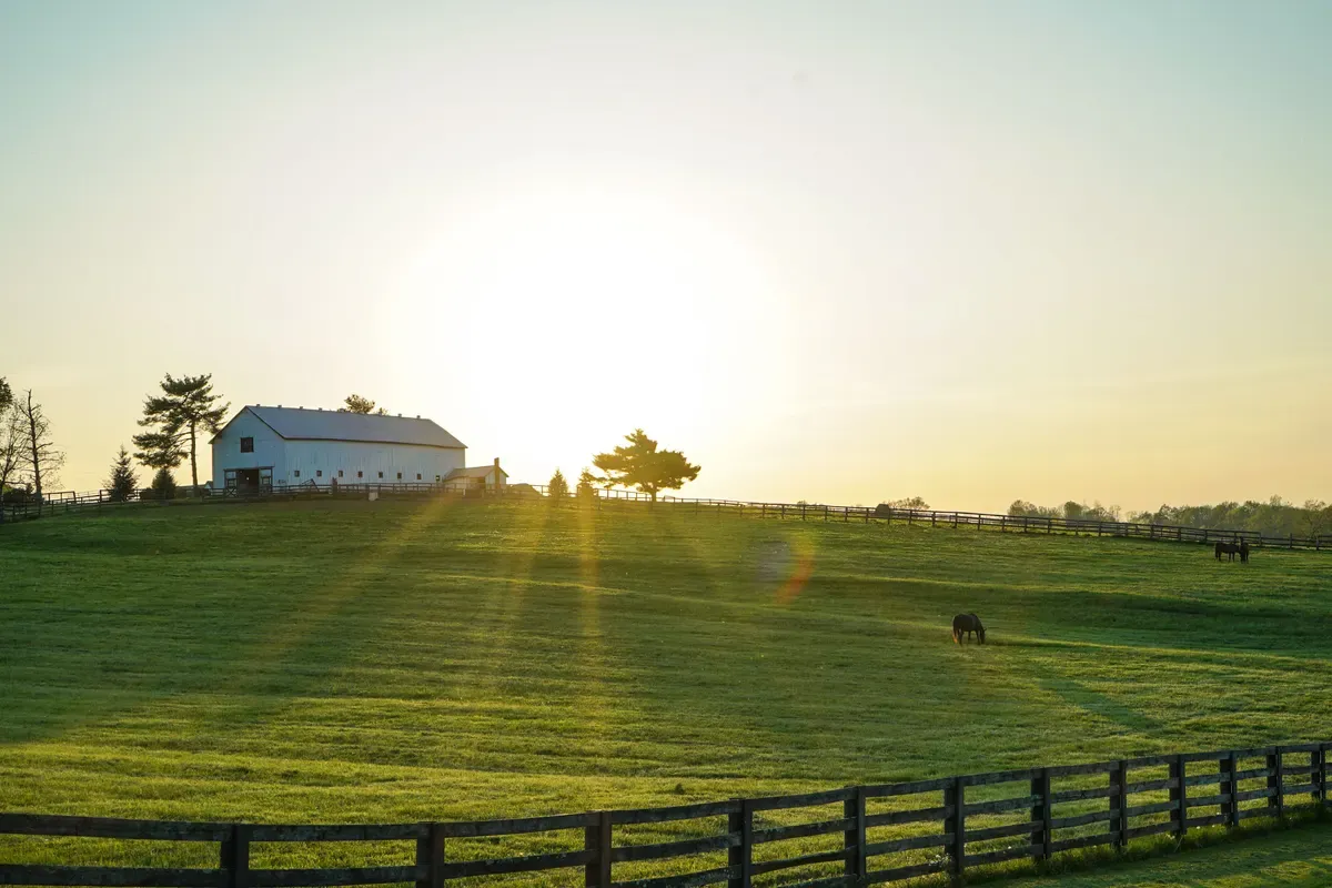 Horse pasture with a wooden fence and a white barn at sunrise